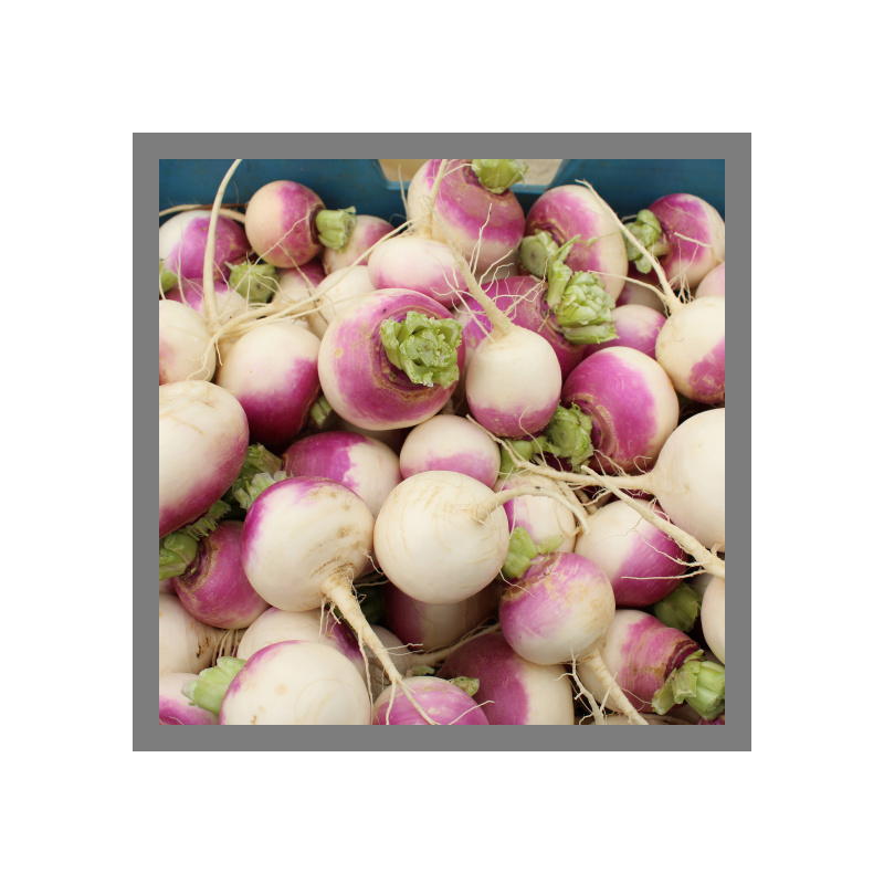 Navets 1kg