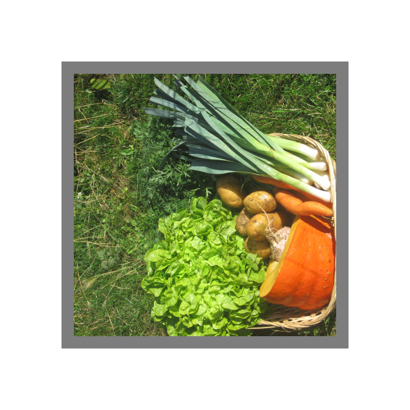 Panier de légumes de la semaine "le duo"