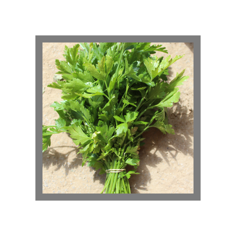 Persil plat