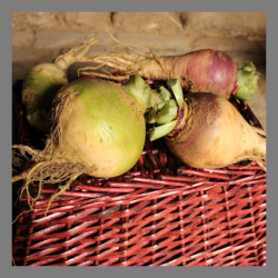 Rutabaga