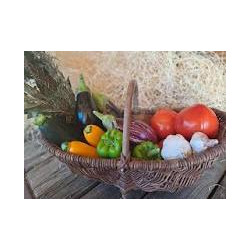 offre promotionnelle ratatouille