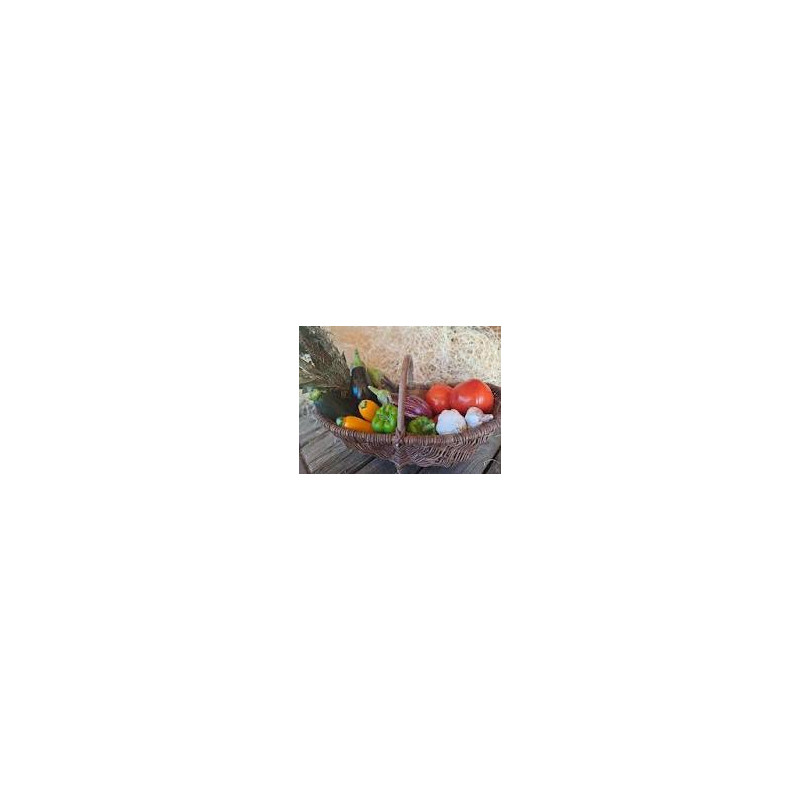 offre promotionnelle ratatouille