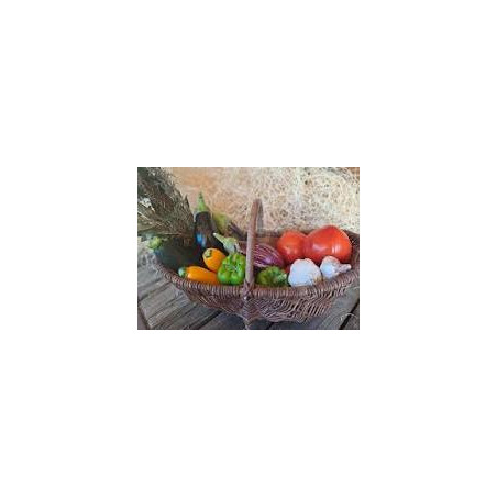 offre promotionnelle ratatouille