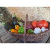 offre promotionnelle ratatouille
