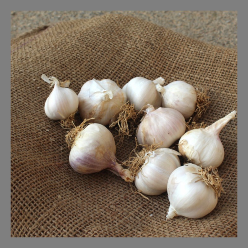 Ail (petites têtes) 200g