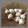 Ail (petites têtes) 200g