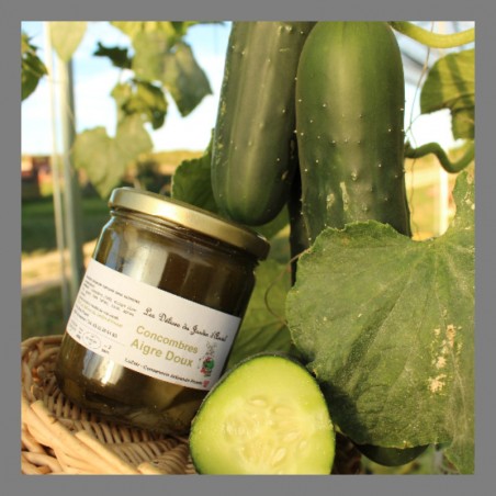 Concombres aigre doux