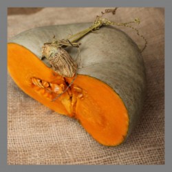 Courge "Bleu de Hongrie" en...