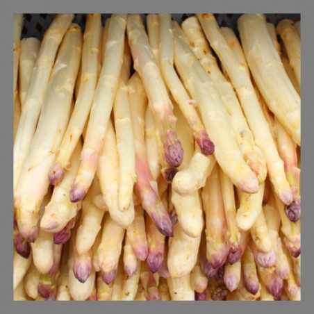 Asperge 500g