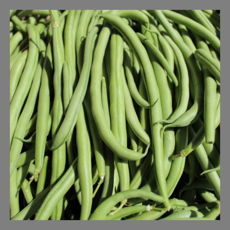 Haricots verts 500g