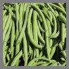 Haricots verts 500g